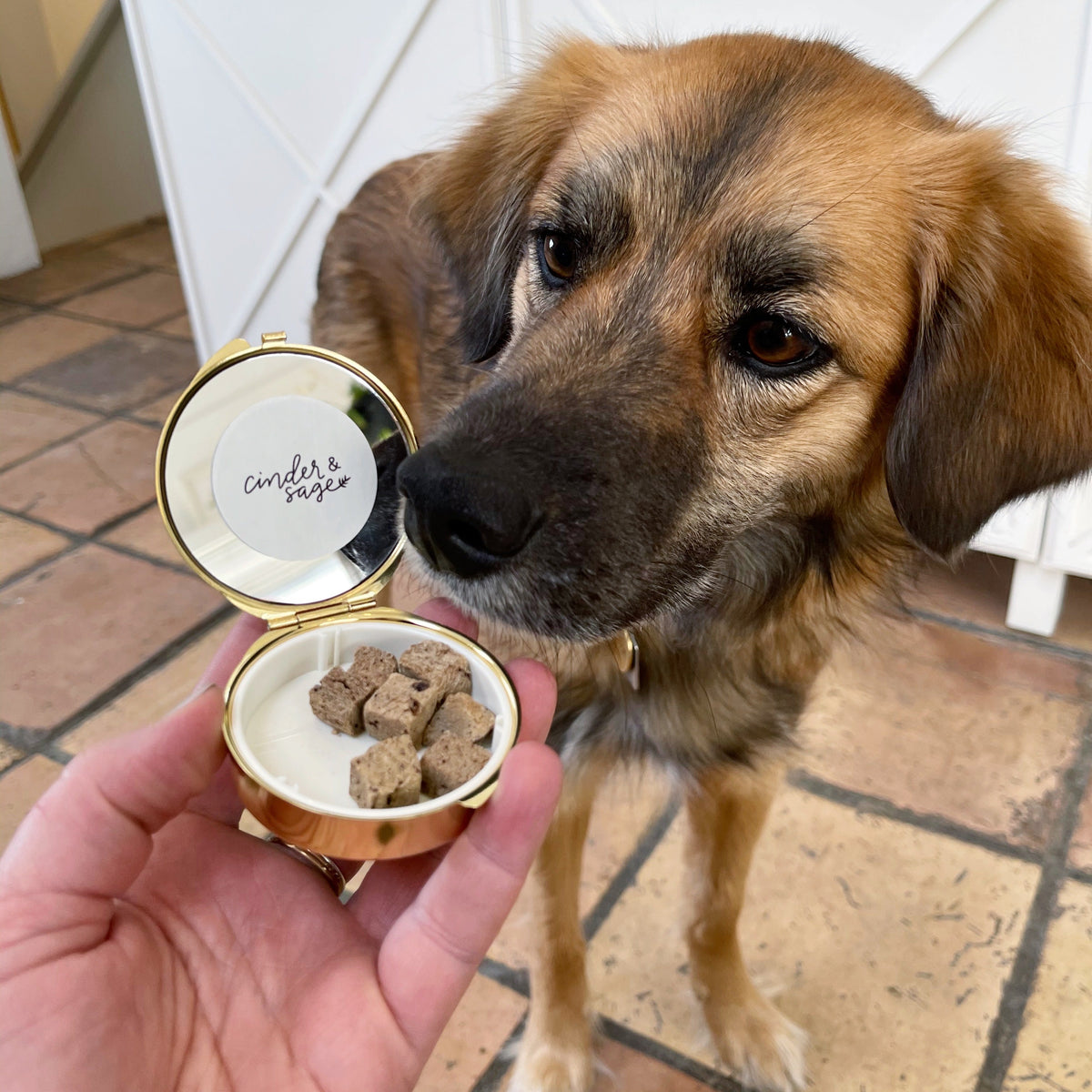 “Good Dog” Pocket Treat Case