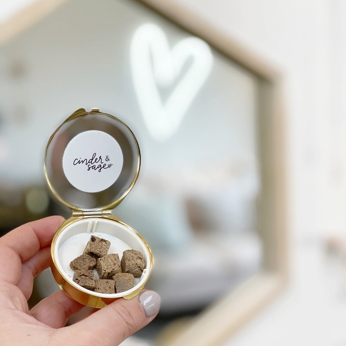 “Good Dog” Pocket Treat Case