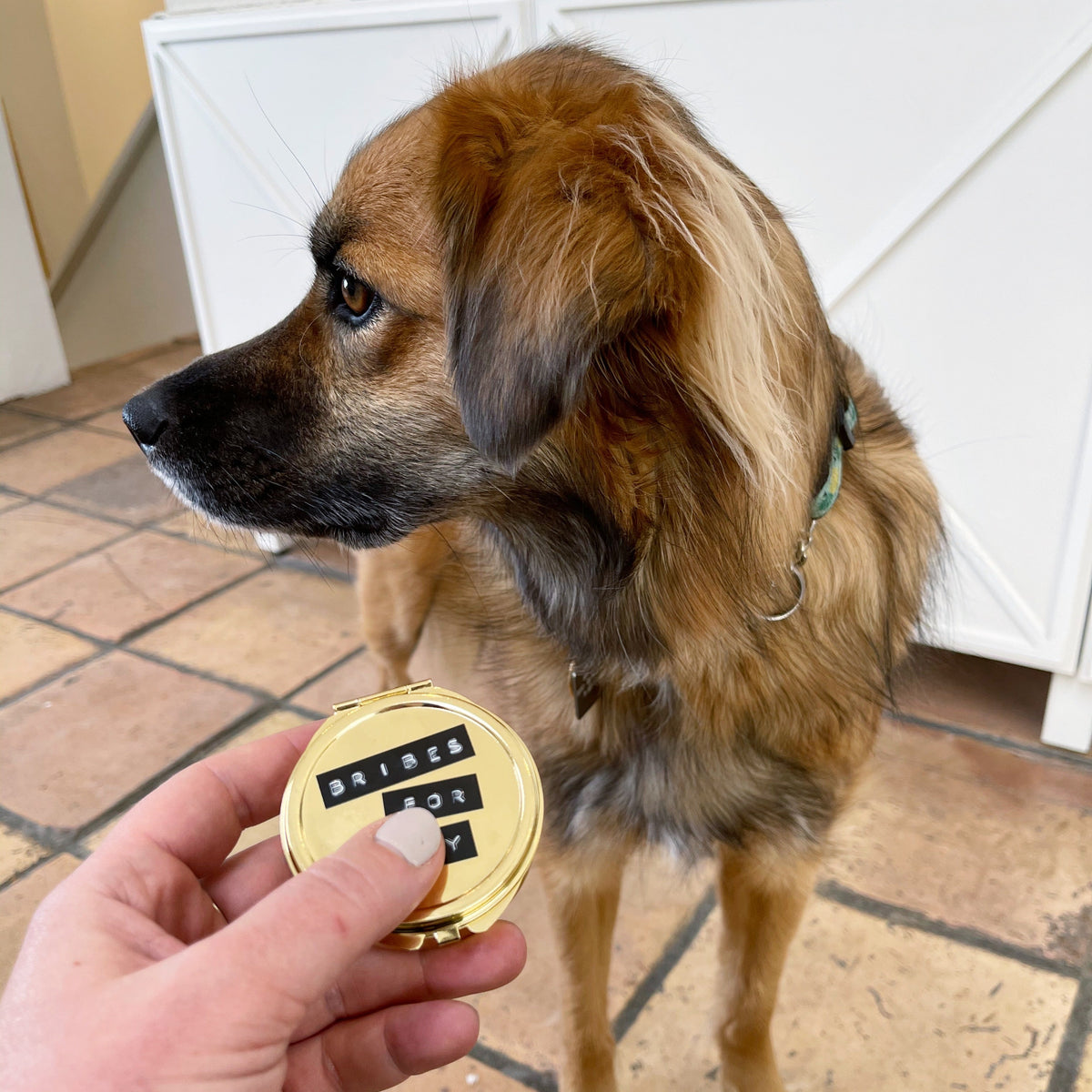 “Good Dog” Pocket Treat Case