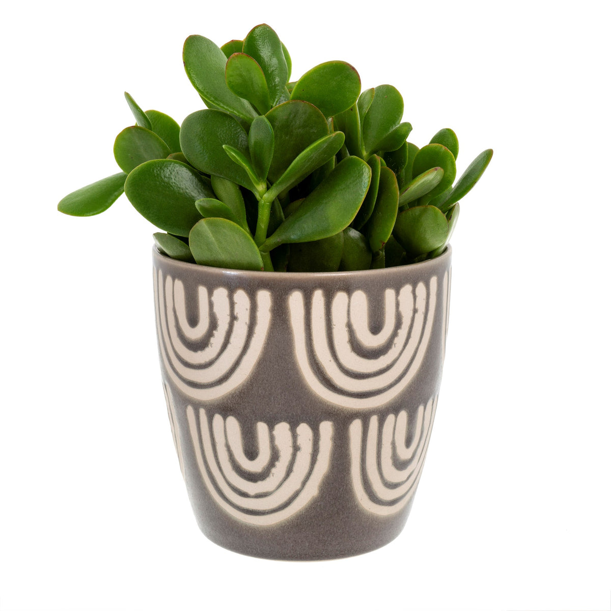 Arches Plant Pot