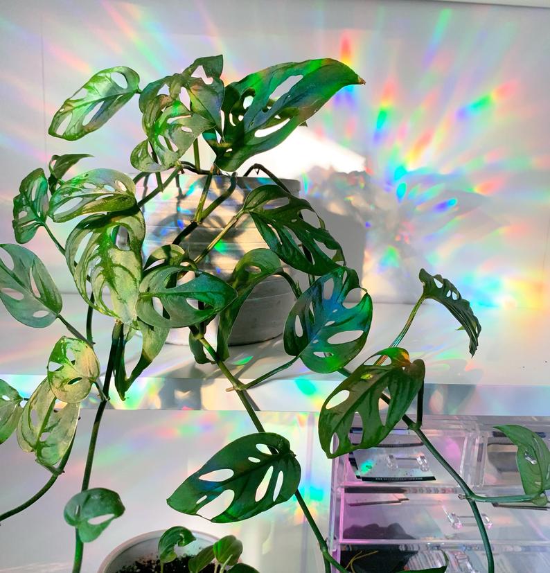 Rainbow &amp; Clouds - Suncatcher / Window Cling